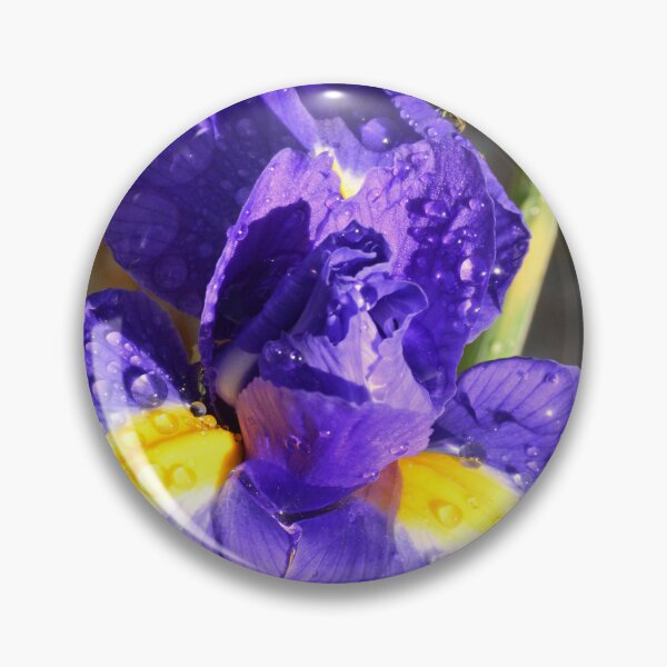 Item preview, Dew Covered Iris's designed and sold by LisaWootenPhoto.