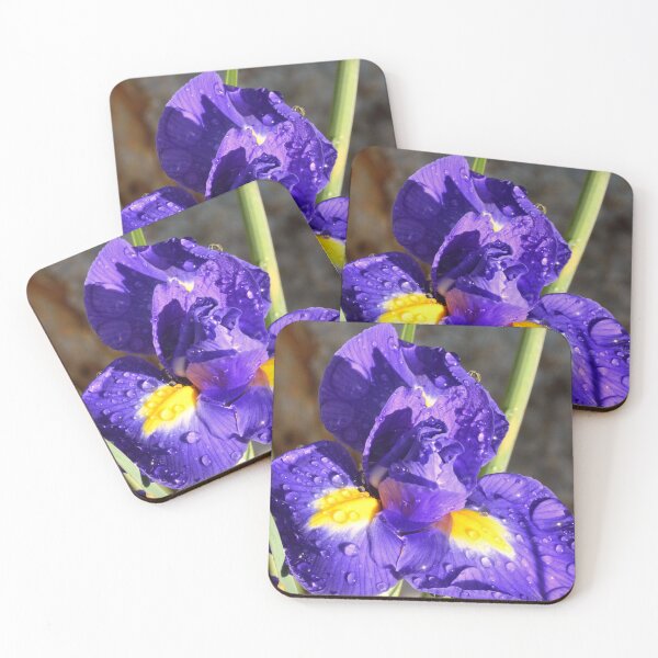 Item preview, Dew Covered Iris's designed and sold by LisaWootenPhoto.