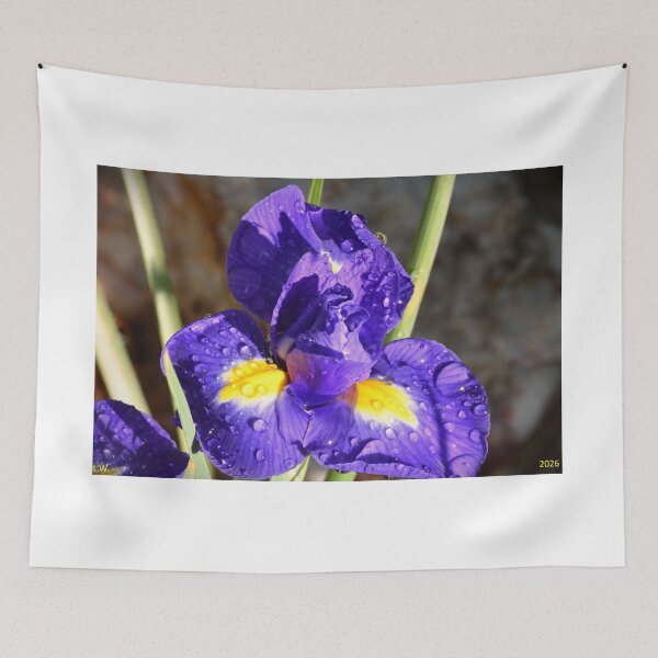 Item preview, Dew Covered Iris's designed and sold by LisaWootenPhoto.