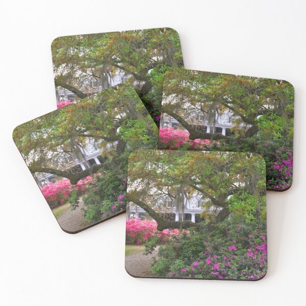 Item preview, The Gardens At Historic Magnolia Plantation  designed and sold by LisaWootenPhoto.