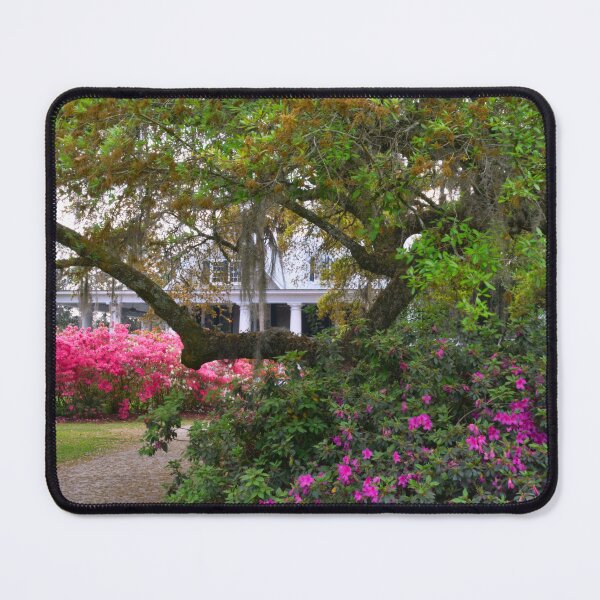 Item preview, The Gardens At Historic Magnolia Plantation designed and sold by LisaWootenPhoto.