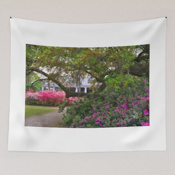 Item preview, The Gardens At Historic Magnolia Plantation  designed and sold by LisaWootenPhoto.