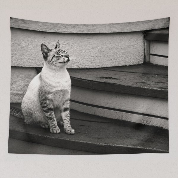 Item preview, Blissful Tabby Cat  designed and sold by Kimberly Palmer.
