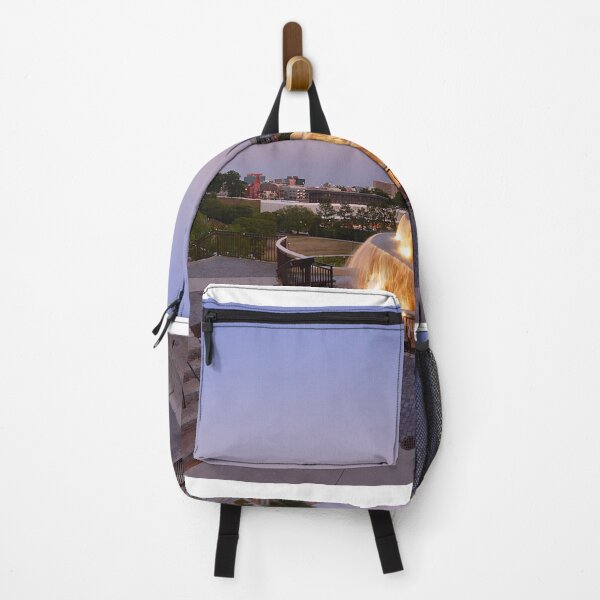 Item preview, Downtown Columbia SC Overlooking Finaly Park designed and sold by LisaWootenPhoto.