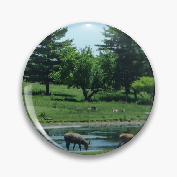 Item preview, Elk at the watering hole designed and sold by SRosuphotos.