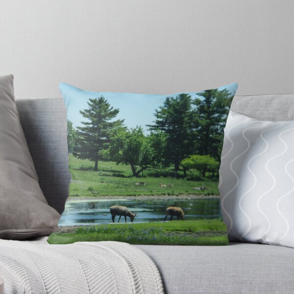 Item preview, Elk at the watering hole designed and sold by SRosuphotos.