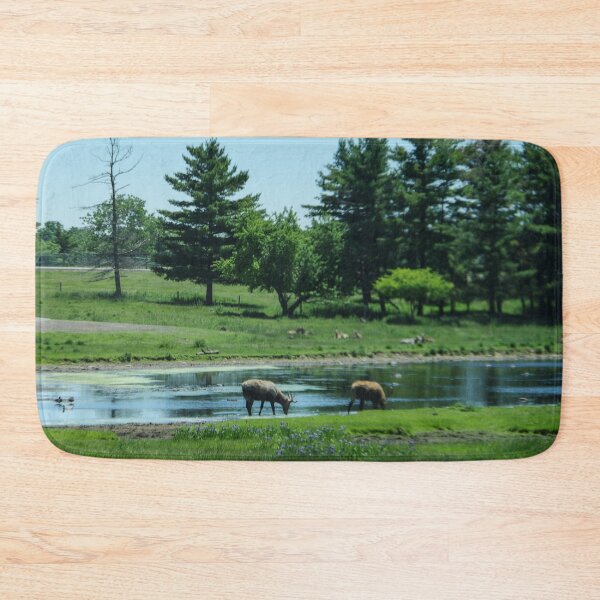 Item preview, Elk at the watering hole designed and sold by SRosuphotos.