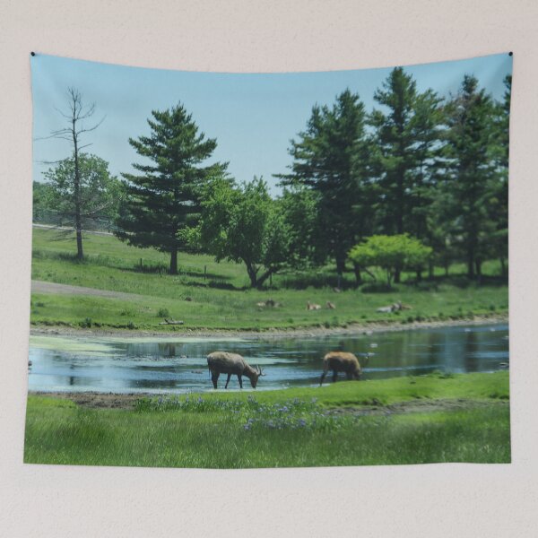 Item preview, Elk at the watering hole designed and sold by SRosuphotos.