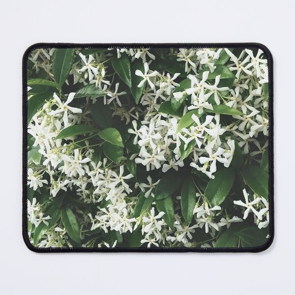 Item preview, Blooming White Jasmine | EDINSTEPPE Collection designed and sold by E D I N S T E P P E.