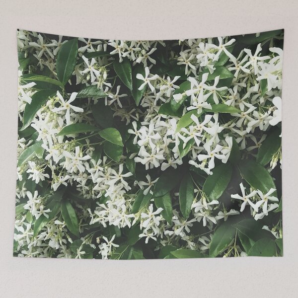 Item preview, Blooming White Jasmine | EDINSTEPPE Collection designed and sold by E D I N S T E P P E.