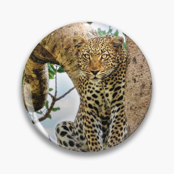 Item preview, The Leopard Sits In Wait designed and sold by Kay Brewer.