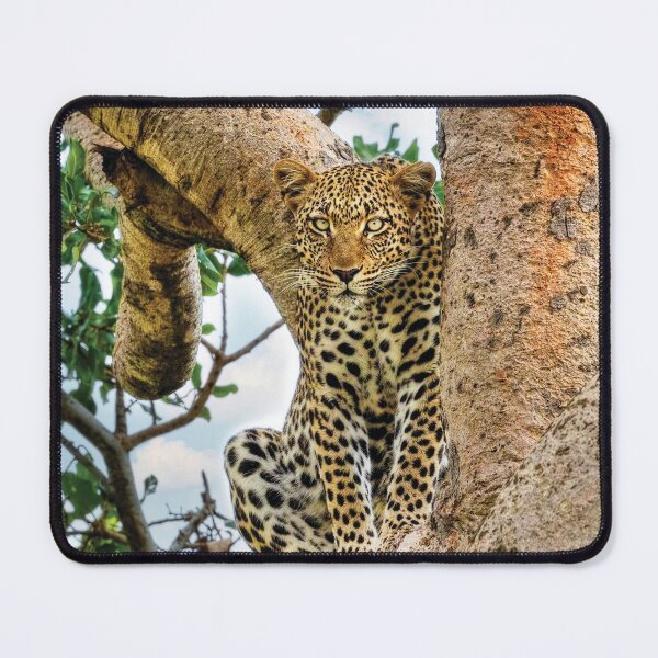 Item preview, The Leopard Sits In Wait designed and sold by Kay Brewer.