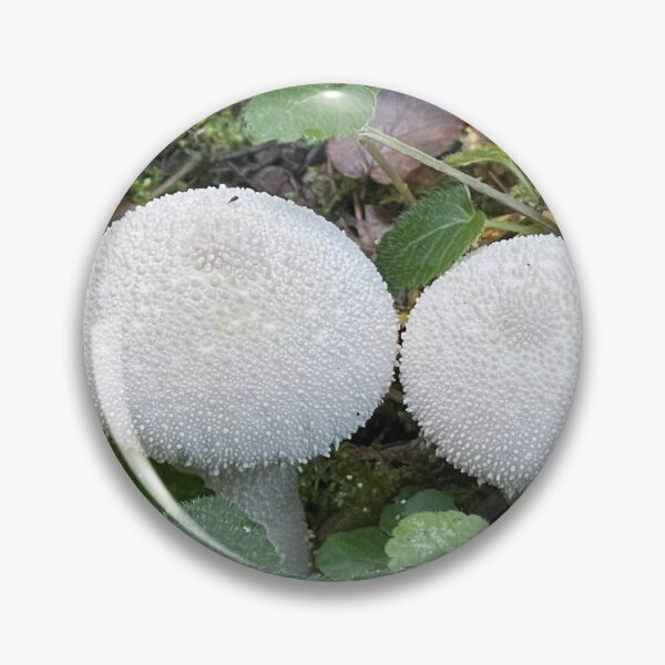 Item preview, White Common Puffball Mushrooms designed and sold by POTOTSKA.