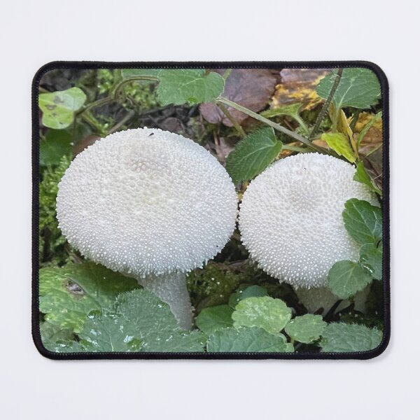 Item preview, White Common Puffball Mushrooms designed and sold by POTOTSKA.