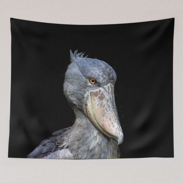 Item preview, Shoebill  designed and sold by Savannah Gibbs.