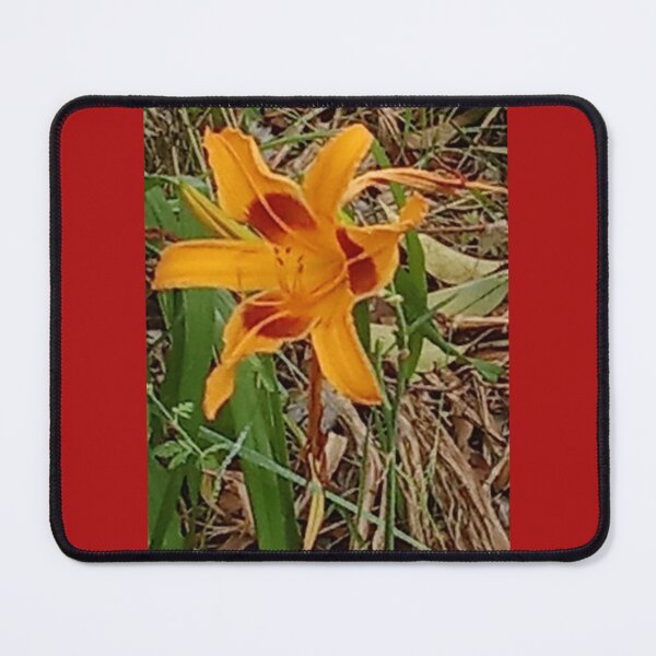 Item preview, Saffron-colored flower designed and sold by Maitedo.