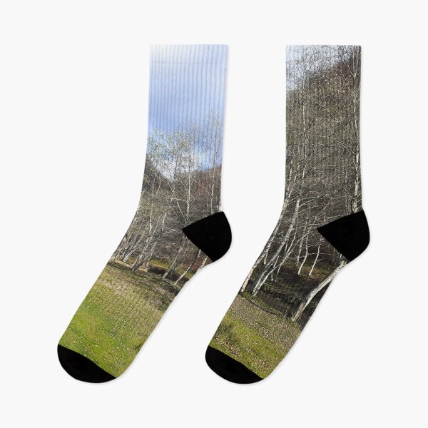 Item preview, Early Autumn by the River - Relaxing Nature from Romania designed and sold by MSMPrintDesign.
