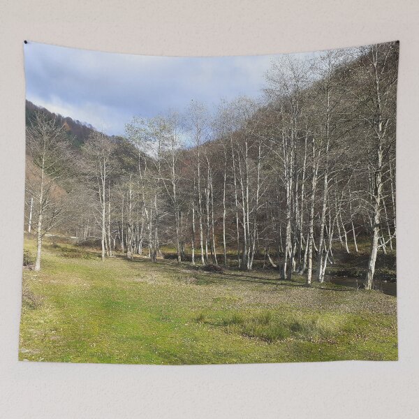 Item preview, Early Autumn by the River - Relaxing Nature from Romania designed and sold by MSMPrintDesign.
