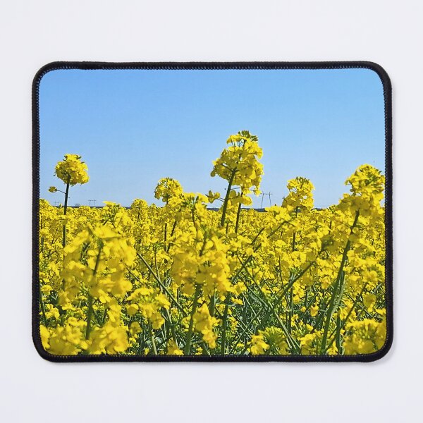 Item preview, The Horizon Line - Colors of Nature from Romania designed and sold by MSMPrintDesign.