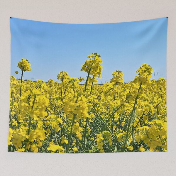 Item preview, The Horizon Line - Colors of Nature from Romania designed and sold by MSMPrintDesign.