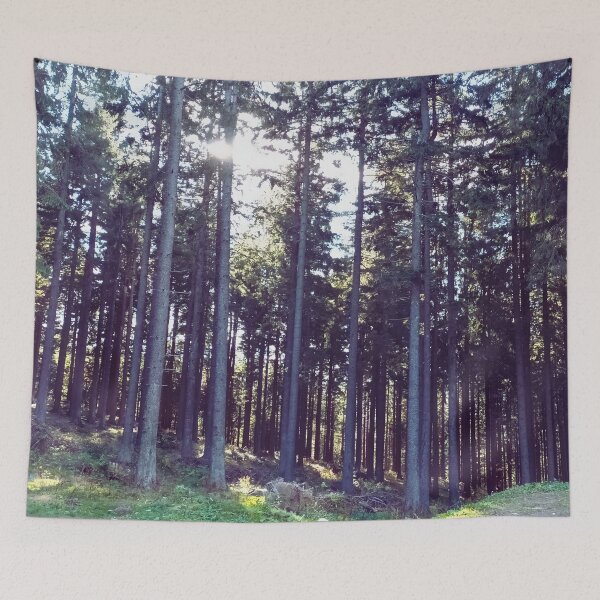 Item preview, Light Between the Pines - In the Heart of Nature - Romania designed and sold by MSMPrintDesign.