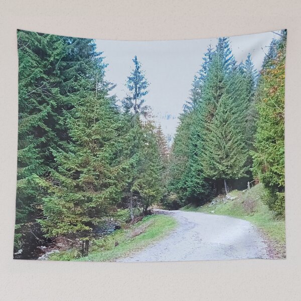 Item preview, Into the Forest Heart - The Magic of Nature from Romania designed and sold by MSMPrintDesign.