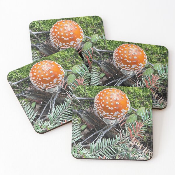 Item preview, Young Fly Agaric Button Mushroom designed and sold by POTOTSKA.