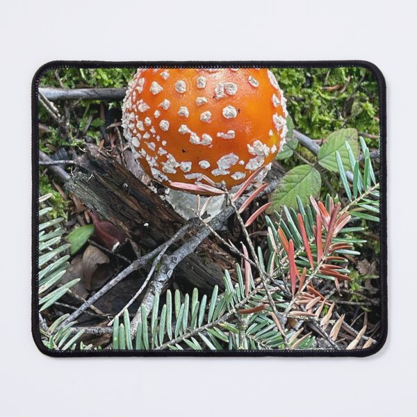 Item preview, Young Fly Agaric Button Mushroom designed and sold by POTOTSKA.