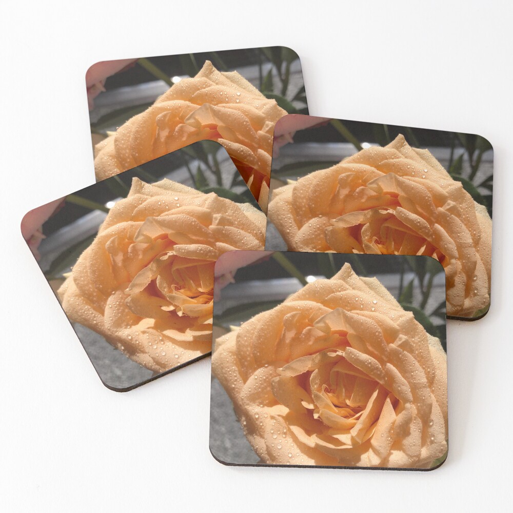 Item preview, Coasters (Set of 4) designed and sold by halfoften.