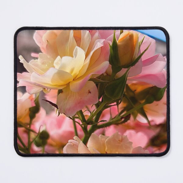 Item preview, Pink & Yellow Roses designed and sold by Baulmonart.