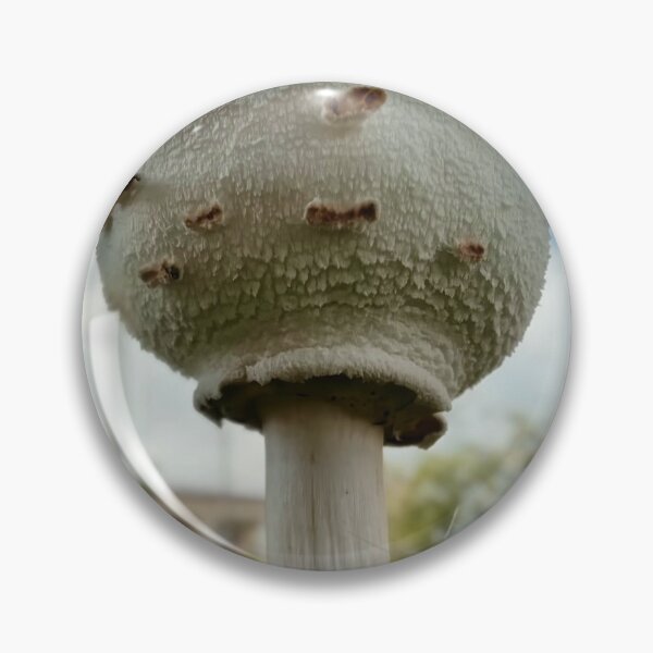 Item preview, Macro Mushroom designed and sold by Baulmonart.