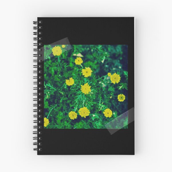 Item preview, Procrastinator's Photograph designed and sold by photo-Insight.