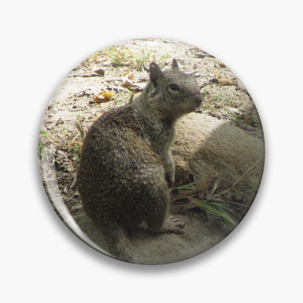 Item preview, Squirrel contemplating doom on the world designed and sold by XxCo0kieThi3fxX.