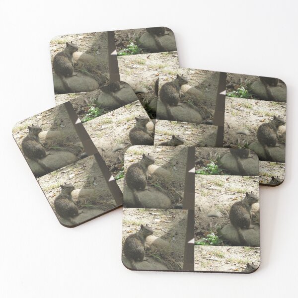 Item preview, Squirrel contemplating doom on the world designed and sold by XxCo0kieThi3fxX.