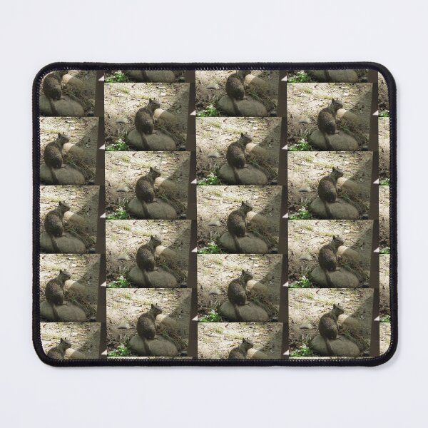 Item preview, Squirrel contemplating doom on the world designed and sold by XxCo0kieThi3fxX.