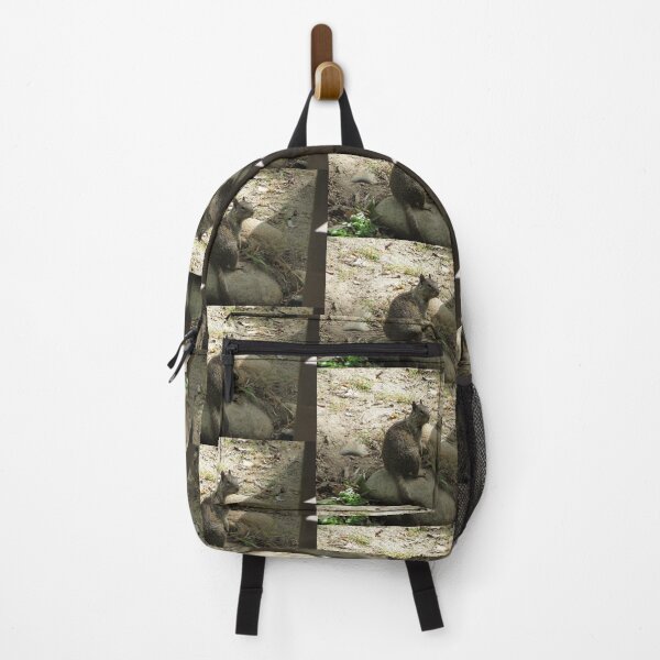 Item preview, Squirrel contemplating doom on the world designed and sold by XxCo0kieThi3fxX.