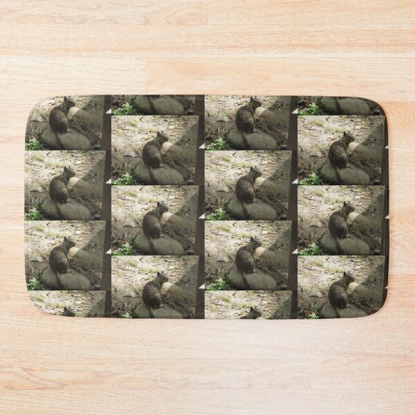 Item preview, Squirrel contemplating doom on the world designed and sold by XxCo0kieThi3fxX.