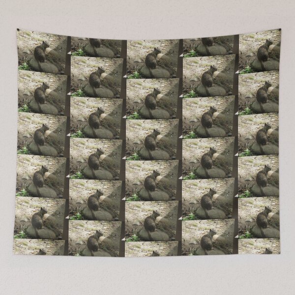 Item preview, Squirrel contemplating doom on the world designed and sold by XxCo0kieThi3fxX.