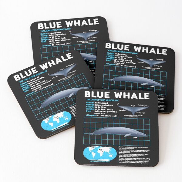 Item preview, Blue Whale Fact Sheet designed and sold by NicGrayGraphic.