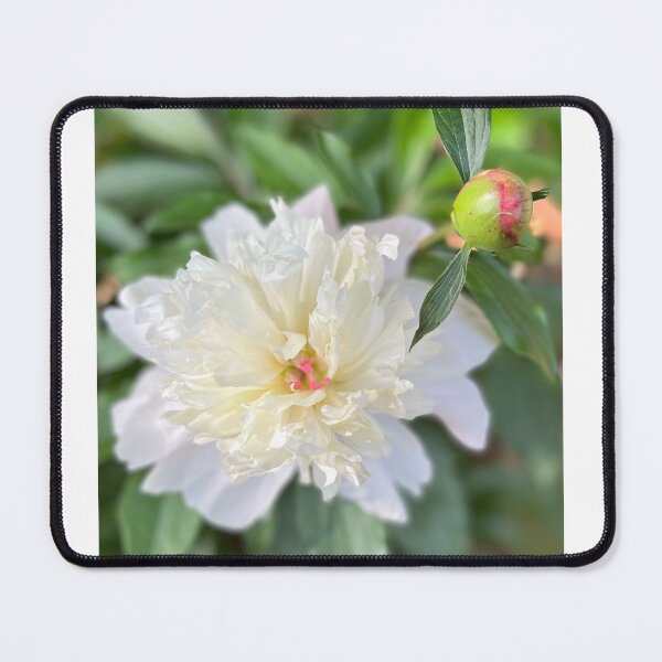 Item preview, Whispers of Ivory Bloom designed and sold by StudiobyGeorgette.