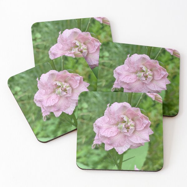 Item preview, Garden Love 3 designed and sold by Abeink1030.