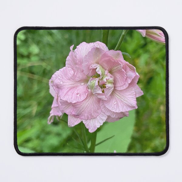 Item preview, Garden Love 3 designed and sold by Abeink1030.