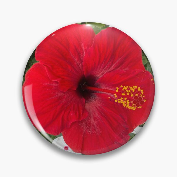 Item preview, Red Hibiscus Flower in bloom. designed and sold by shorethings.