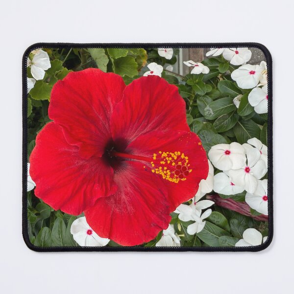 Item preview, Red Hibiscus Flower in bloom. designed and sold by shorethings.