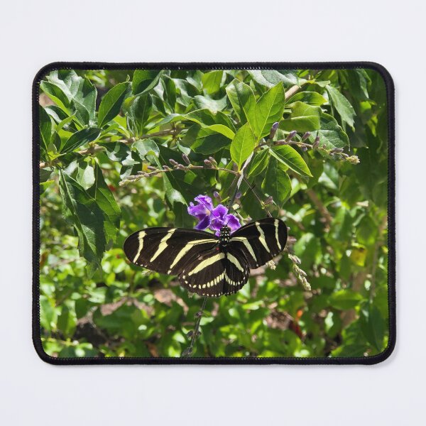 Item preview, Zebra Longwing Butterfly designed and sold by Photography by Annette.