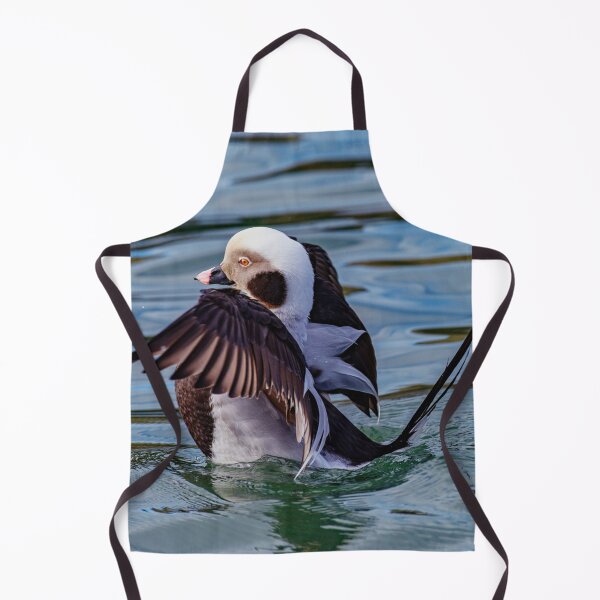 Item preview, long-tailed duck designed and sold by Tom McPherson Photography.