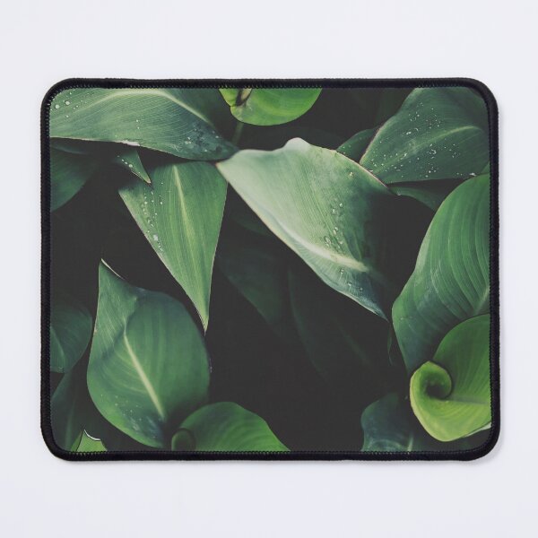 Item preview, Minimalist Moody Raindrops Botanical Photo designed and sold by ReneJordaan.