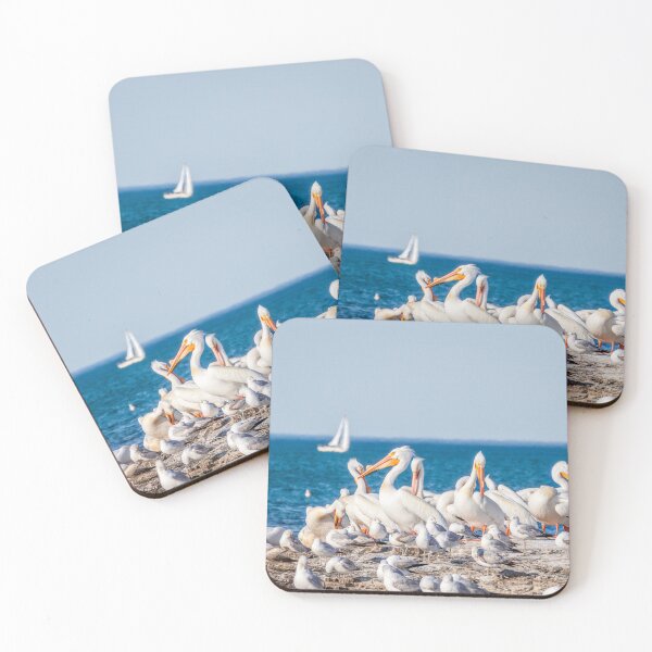 Item preview, Great white Pelicans on Lake Michigan rocks in Sheboygan  designed and sold by TerraMediaLLC.