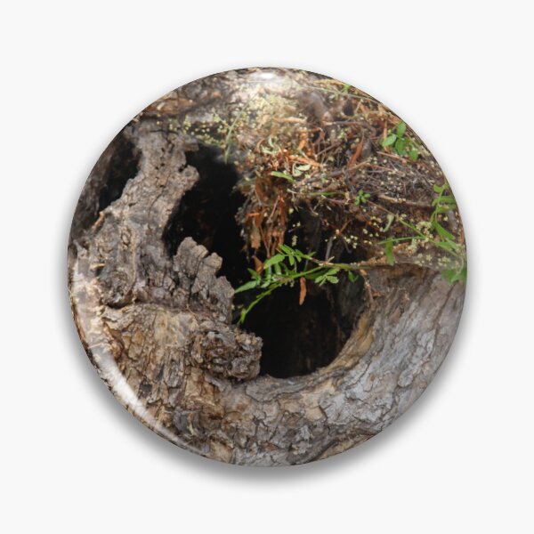 Item preview, Who Lives in This Tree Trunk? designed and sold by heatherfriedman.
