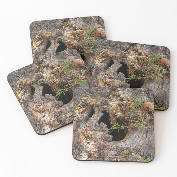 Item preview, Who Lives in This Tree Trunk? designed and sold by heatherfriedman.